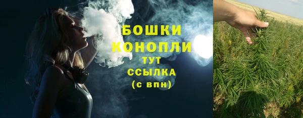 крисы Горнозаводск