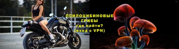 МДПВ Абаза