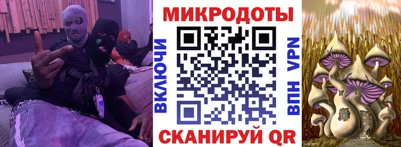Псилоцибиновые грибы Psilocybe  наркота  Дмитровск 